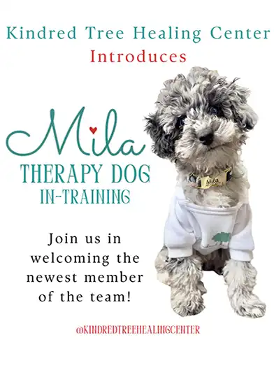 therapy dog